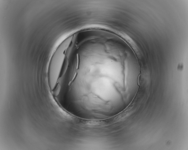 X0000091591199200709051115
