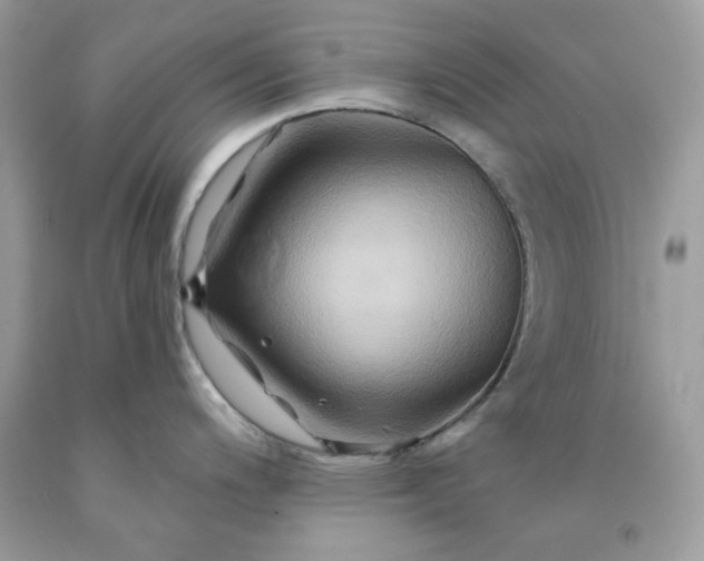 X0000091591200200709051115