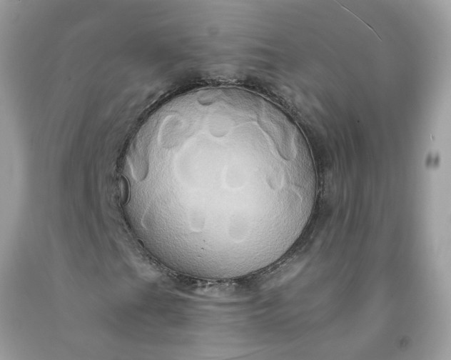 X0000091591201200709051115