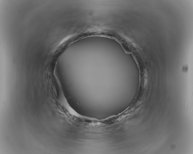 X0000091591206200709051115