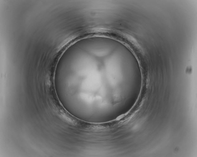 X0000091591209200709051115