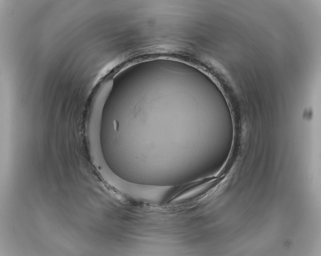X0000091591210200709051115