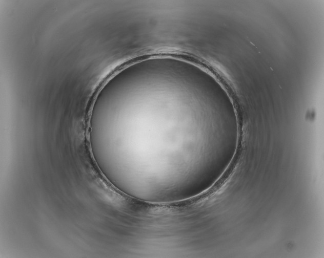 X0000091591212200709051115