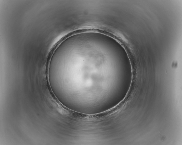 X0000091591216200709051115