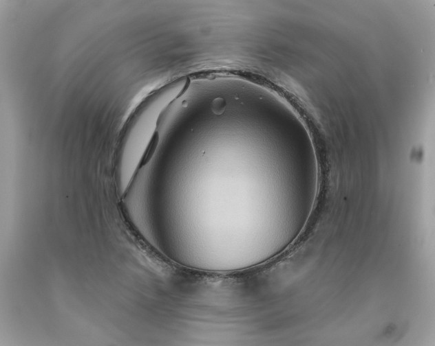 X0000091591218200709051115