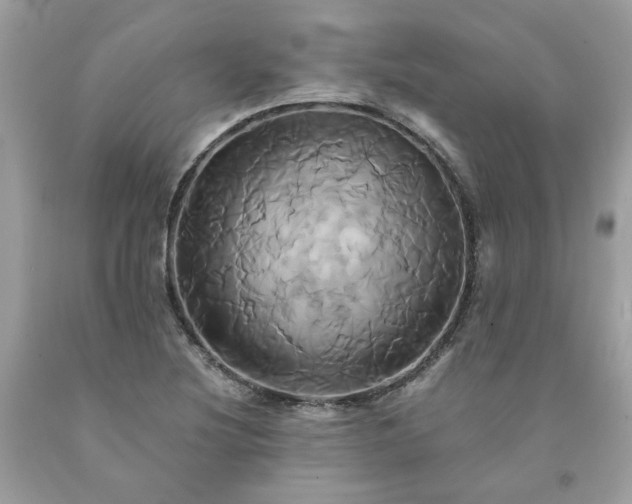 X0000091591220200709051115