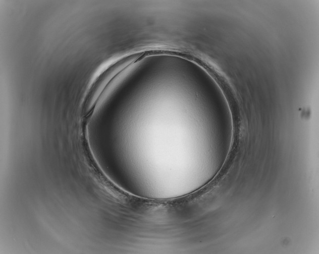X0000091591222200709051115