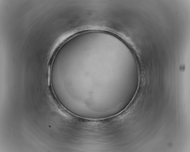 X0000091591223200709051115