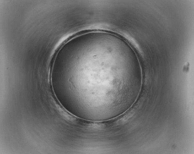 X0000091591224200709051115