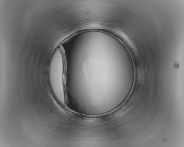 X0000091591225200709051115