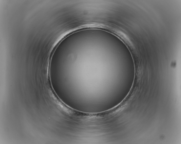 X0000091591228200709051115