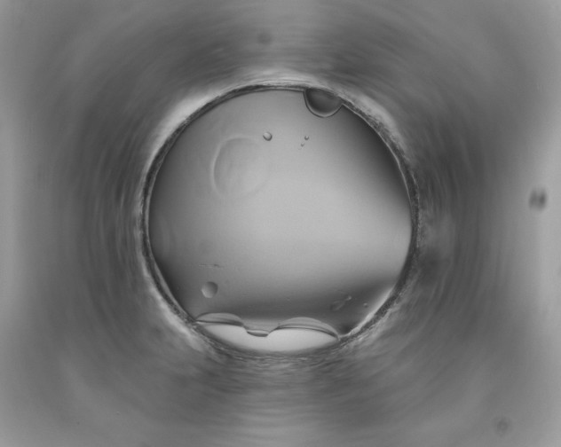 X0000091591231200709051115