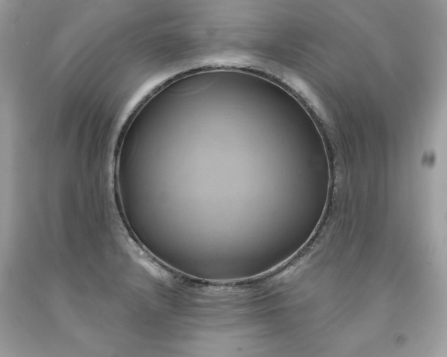 X0000091591232200709051115