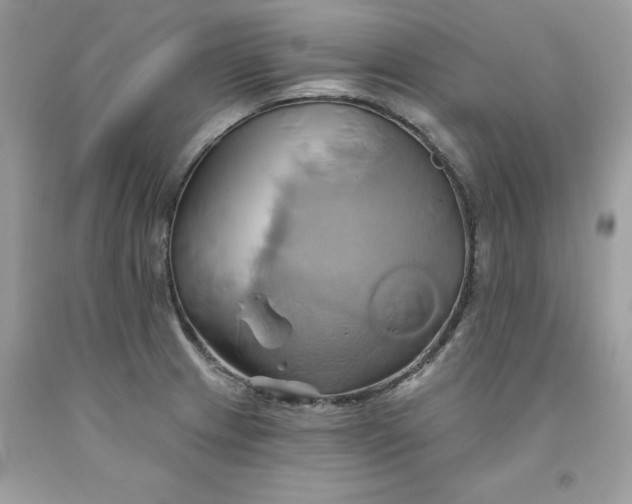 X0000091591233200709051115