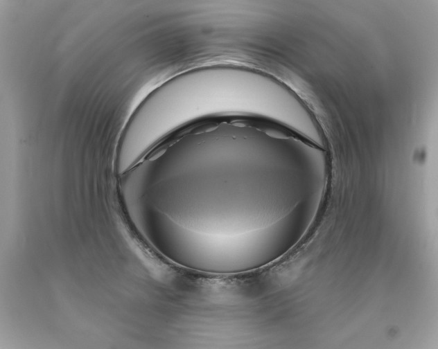 X0000091591234200709051115