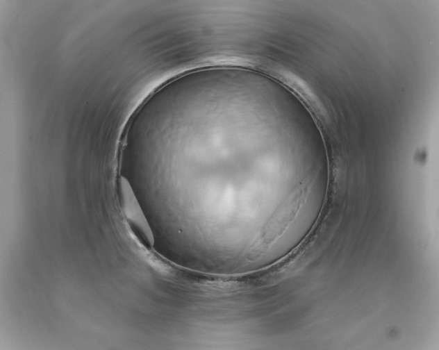 X0000091591236200709051115