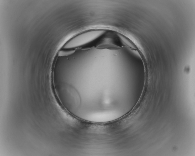 X0000091591237200709051115