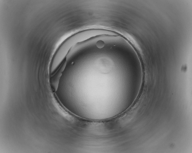 X0000091591238200709051115