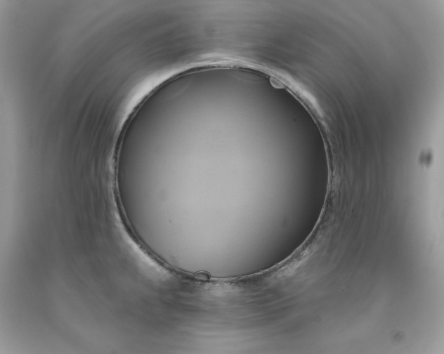 X0000091591239200709051115