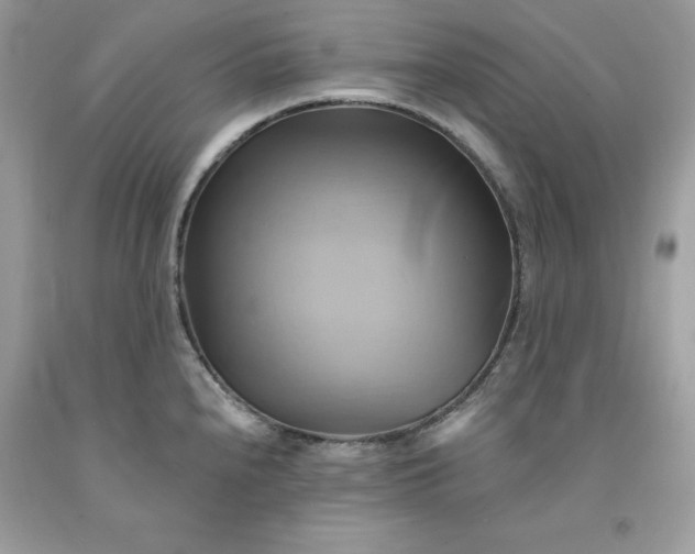 X0000091591240200709051115