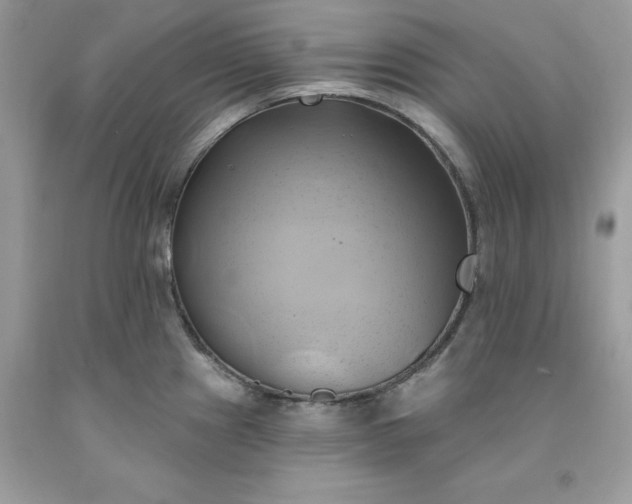 X0000091591241200709051115