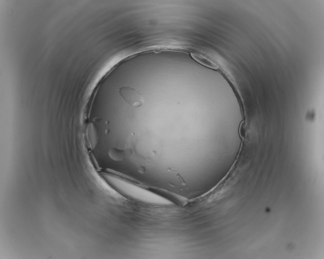 X0000091591243200709051115