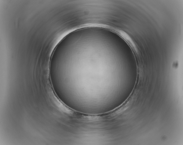X0000091591244200709051115