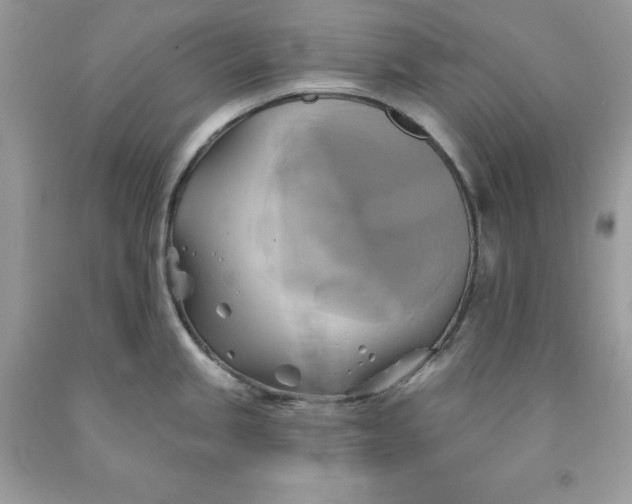 X0000091591245200709051115