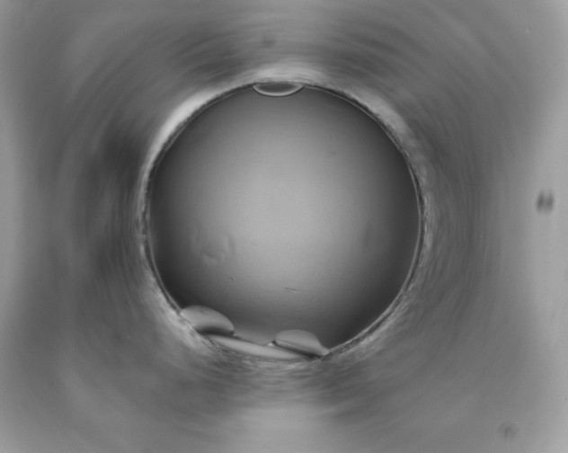 X0000091591248200709051115
