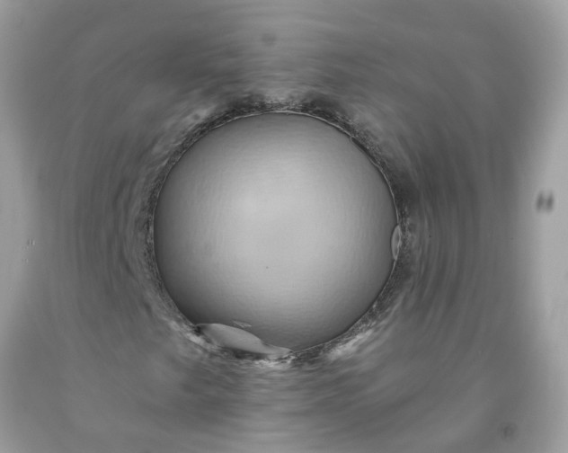 X0000091591249200709051115