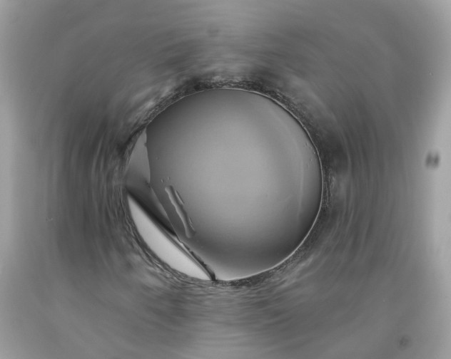 X0000091591250200709051115