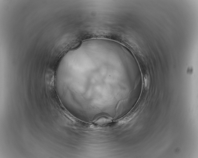 X0000091591251200709051115