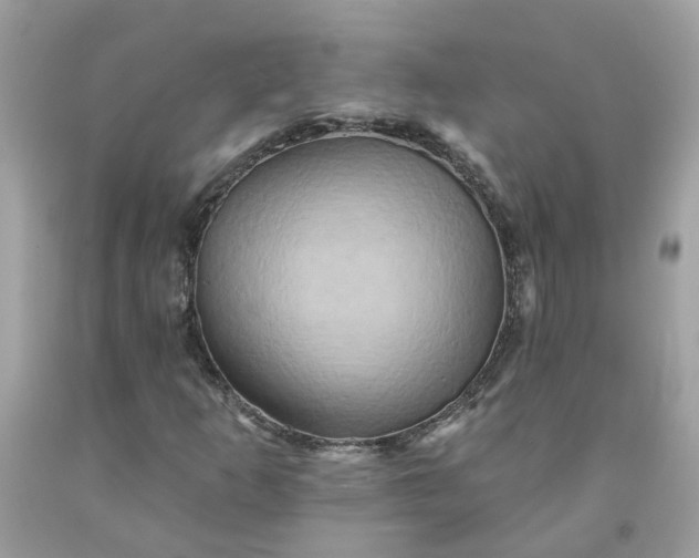 X0000091591253200709051114