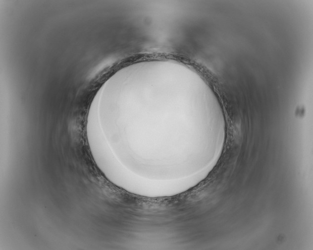 X0000091591254200709051114