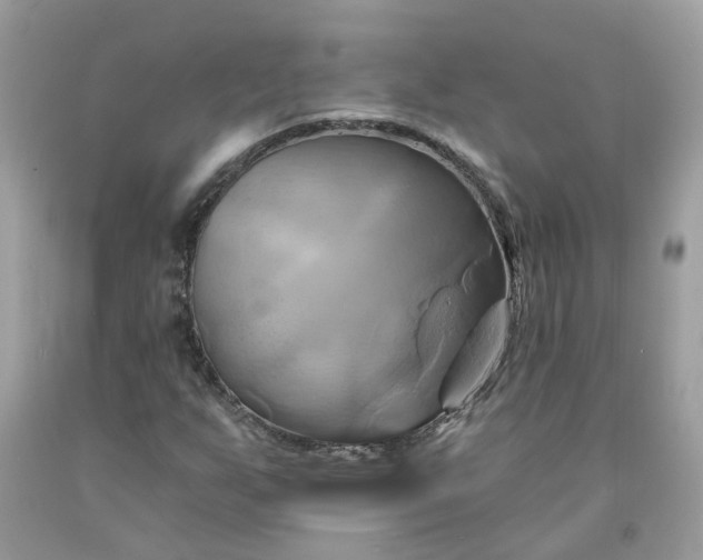 X0000091591255200709051114