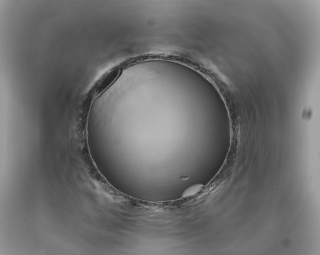 X0000091591256200709051114