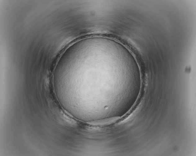 X0000091591257200709051114