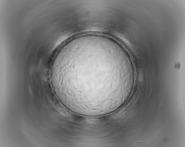 X0000091591258200709051114