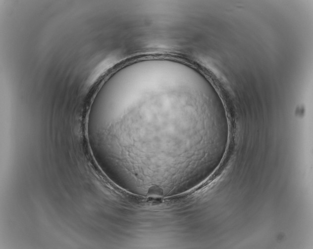 X0000091591259200709051114