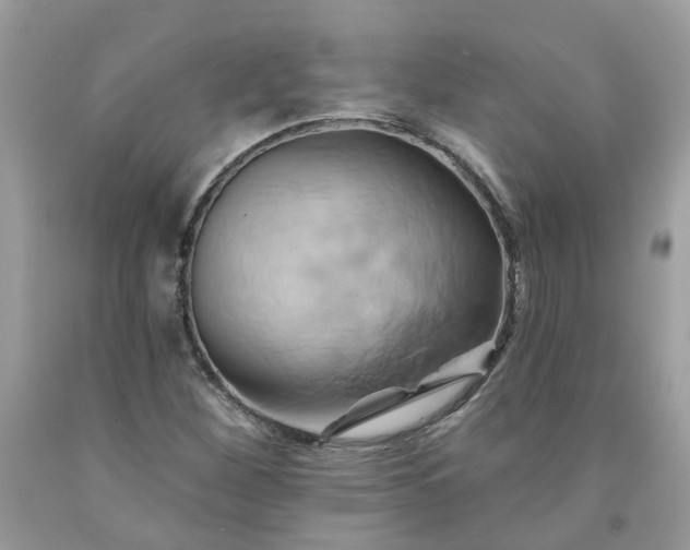 X0000091591260200709051114