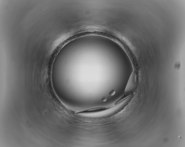X0000091591261200709051114