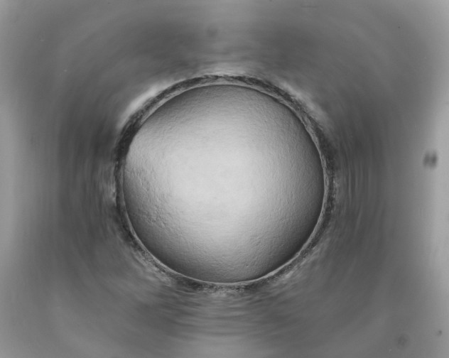 X0000091591262200709051114