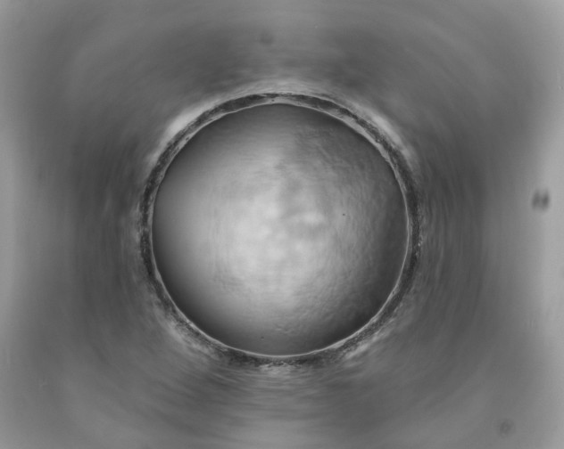 X0000091591264200709051114