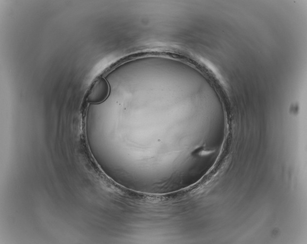 X0000091591267200709051114