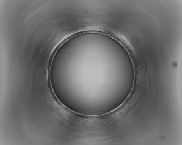 X0000091591268200709051114