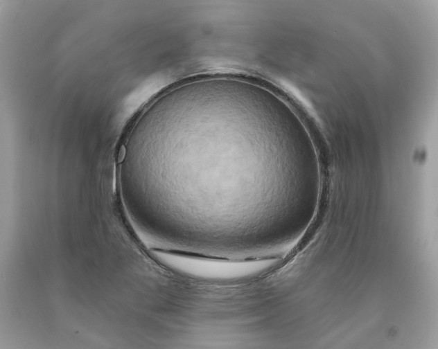 X0000091591269200709051114