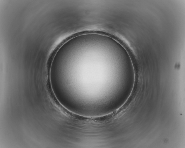 X0000091591270200709051114