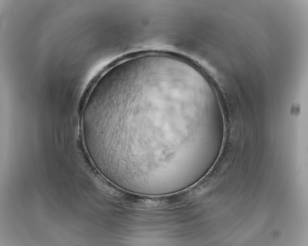 X0000091591271200709051114
