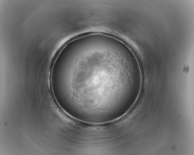 X0000091591272200709051114