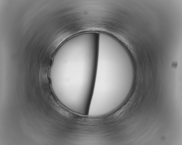 X0000091591273200709051114